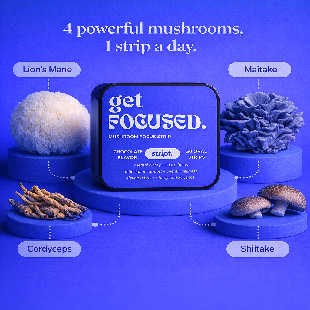 getFOCUSED | Mushroom x4 Focus Strip — Chocolate Flavor